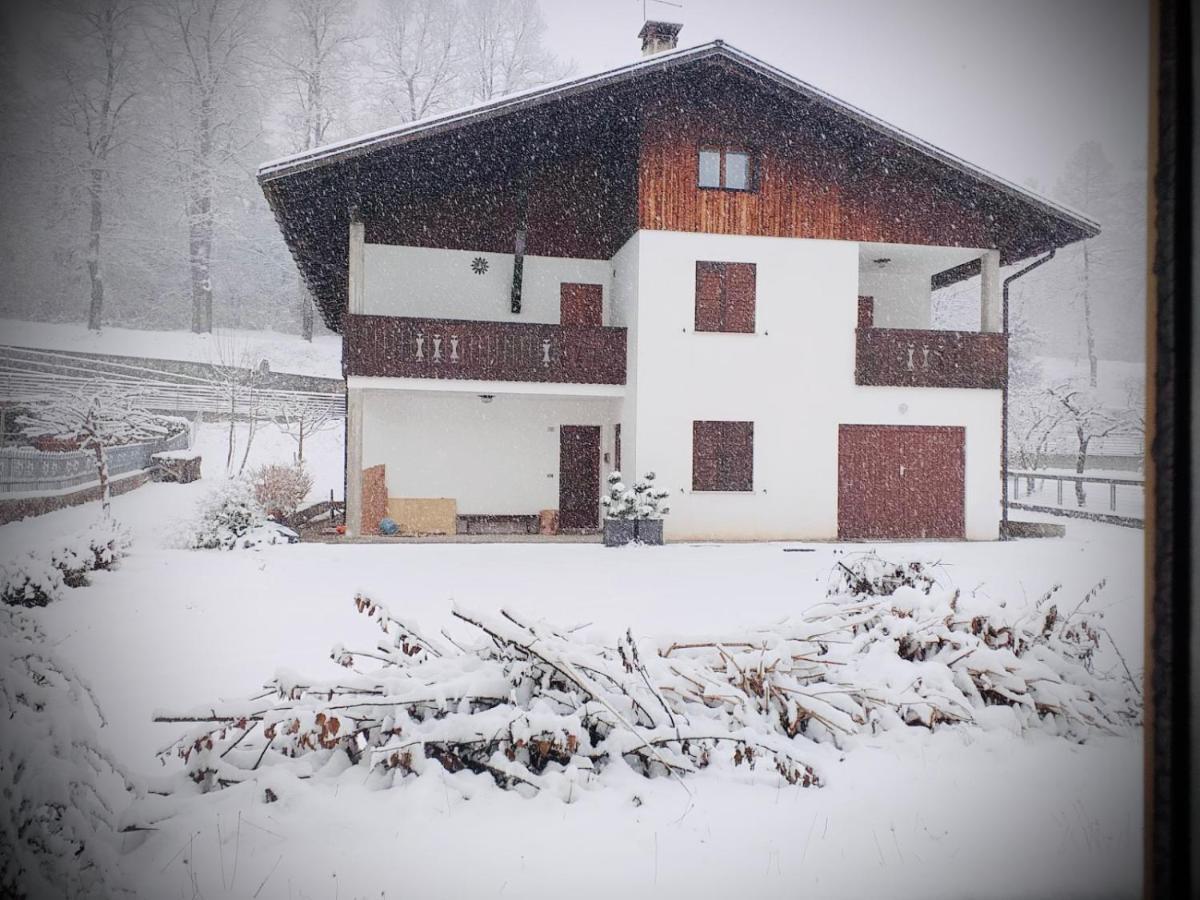 Casa Pura Apartment Ampezzo Luaran gambar